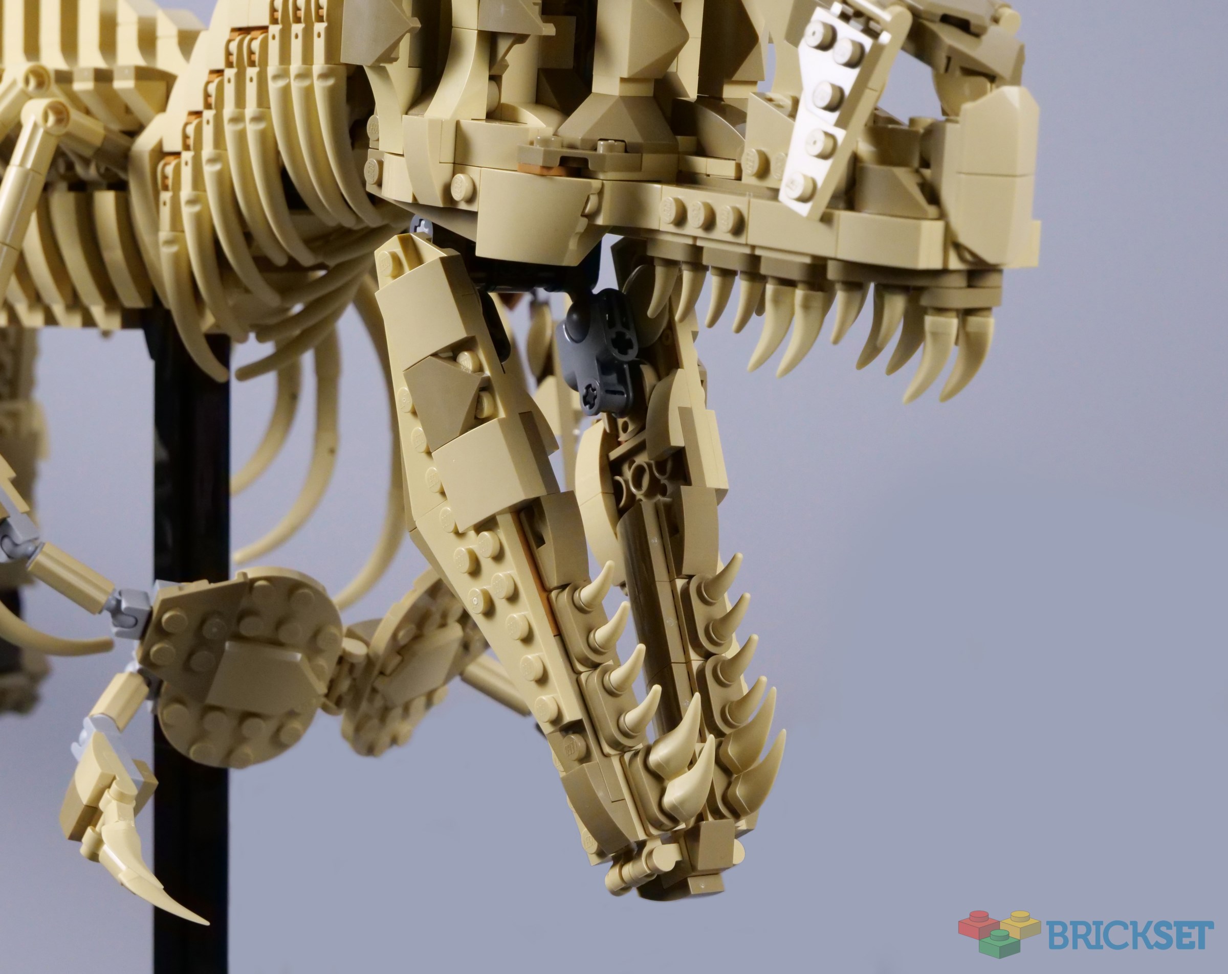３個で！トリニティー スカル TRINITY SKULL Review: 76968 Dinosaur Fossils - Tyrannosaurus rex from LEGO